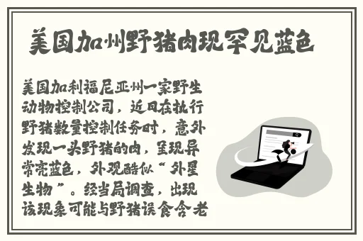 教授的好大含不住了h